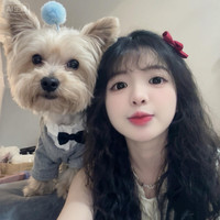 尊师土豆米诺鸭